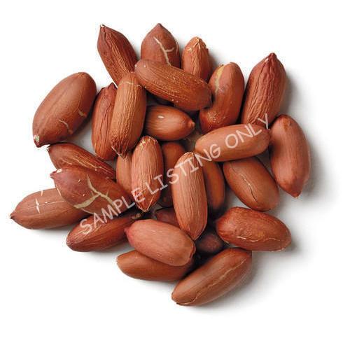 Raw Morocco Groundnuts